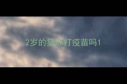 2岁的猫咪打疫苗吗