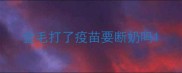 金毛打了疫苗要断奶吗