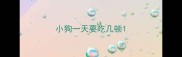 小狗一天要吃几顿