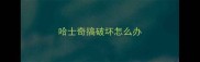 哈士奇搞破坏怎么办