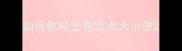 如何教哈士奇定点大小便
