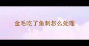 金毛吃了鱼刺怎么处理