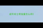 成年哈士奇饭量怎么样