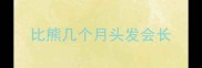 比熊几个月头发会长