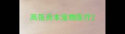 高瓴资本宠物医疗
