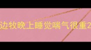 边牧晚上睡觉喘气很重