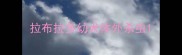 拉布拉多幼犬体外杀虫
