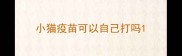 小猫疫苗可以自己打吗