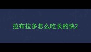 拉布拉多怎么吃长的快
