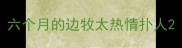 六个月的边牧太热情扑人