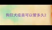 狗狂犬疫苗可以管多久