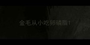 金毛从小吃卵磷脂