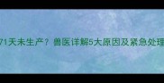 猫咪71天未生产兽医详解5大原因及紧急处理指南