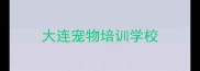 大连宠物培训学校