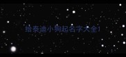 给泰迪小狗起名字大全