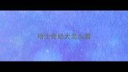 哈士奇幼犬怎么看