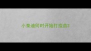 小泰迪何时开始打疫苗