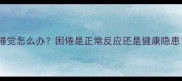 狗狗打完狂犬疫苗后总爱睡觉怎么办困倦是正常反应还是健康隐患附详细症状与应对指南