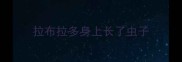 拉布拉多身上长了虫子