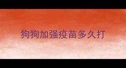 狗狗加强疫苗多久打
