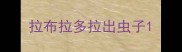 拉布拉多拉出虫子