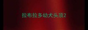 拉布拉多幼犬头顶