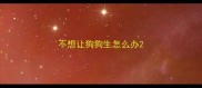 不想让狗狗生怎么办