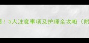 狗狗接种疫苗后必看5大注意事项及护理全攻略附疫苗接种时间表