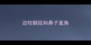 边牧额段和鼻子直角