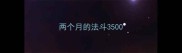 两个月的法斗3500