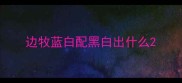 边牧蓝白配黑白出什么