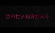 拉布拉多狗狗打耳号