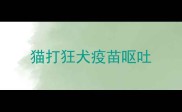 猫打狂犬疫苗呕吐