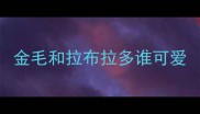 金毛和拉布拉多谁可爱