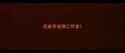 在家开宠物工作室