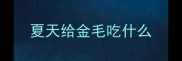 夏天给金毛吃什么