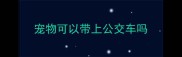 宠物可以带上公交车吗