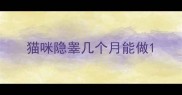 猫咪隐睾几个月能做
