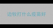 边牧打什么疫苗好