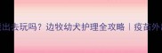 2个月边牧能出去玩吗边牧幼犬护理全攻略疫苗外出护理指南