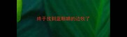 终于找到蓝眼睛的边牧了