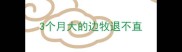 3个月大的边牧退不直
