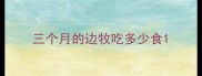 三个月的边牧吃多少食