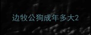 边牧公狗成年多大
