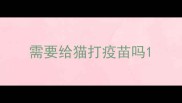 需要给猫打疫苗吗