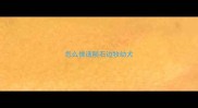 怎么挑选陨石边牧幼犬
