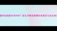 猫咪发烧能吃鸡肉吗医生详解发烧期饮食禁忌与安全食谱