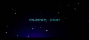 成年边牧减肥一天狗粮