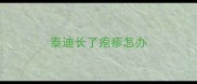 泰迪长了疱疹怎办