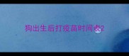 狗出生后打疫苗时间表